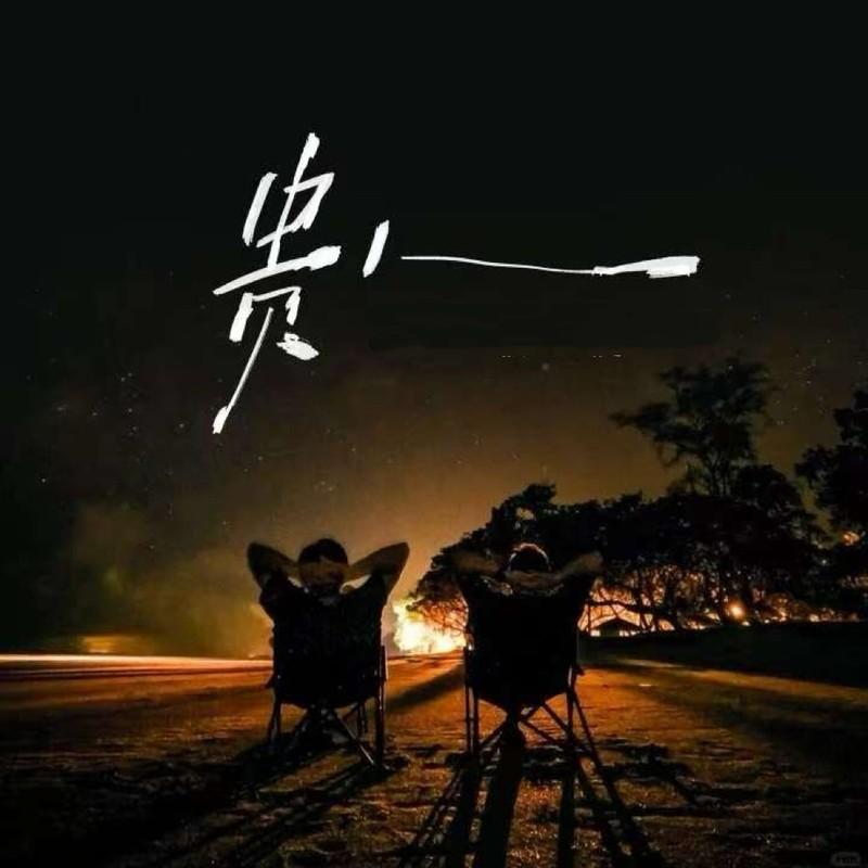 贵人 (国粤对唱版)封面