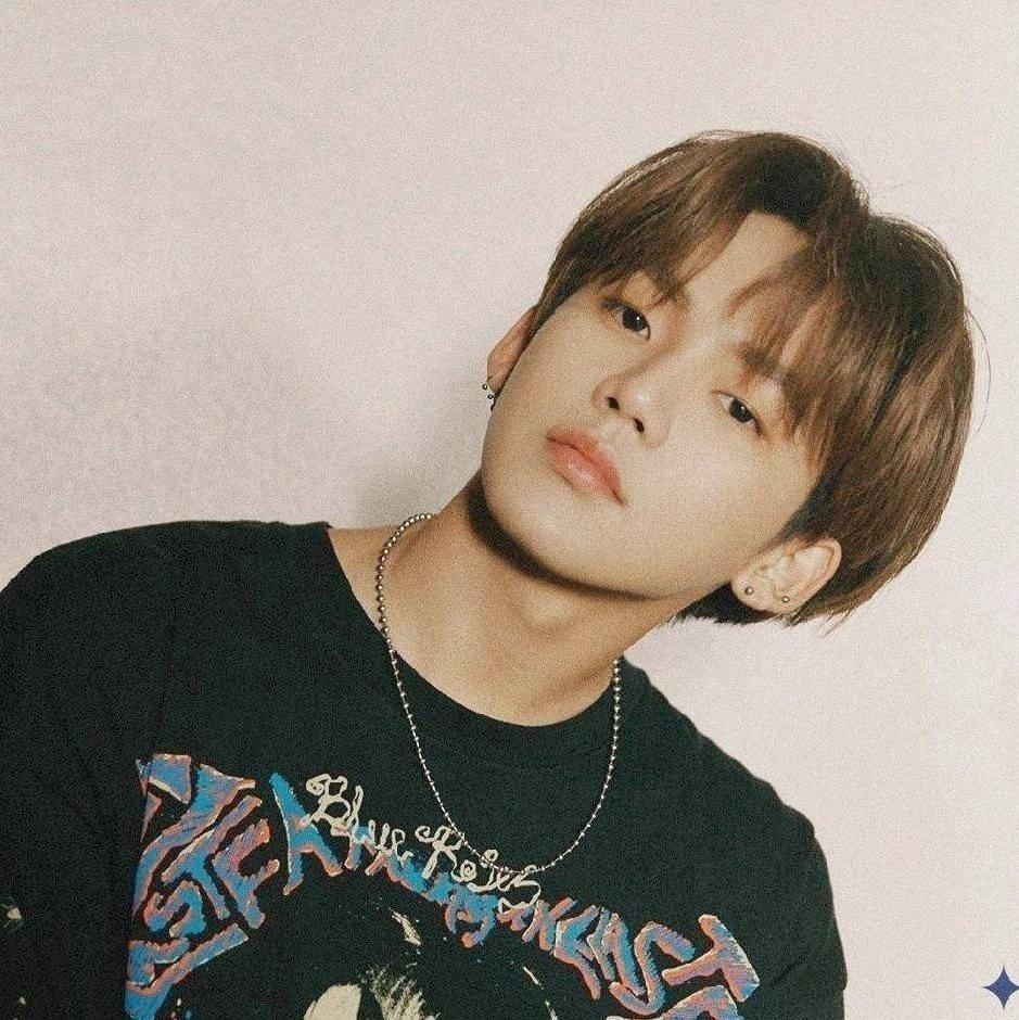 白鹿迷失于星野