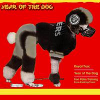 Year of the Dog