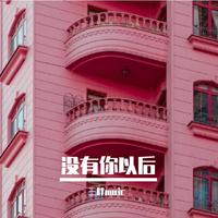 没有你以后