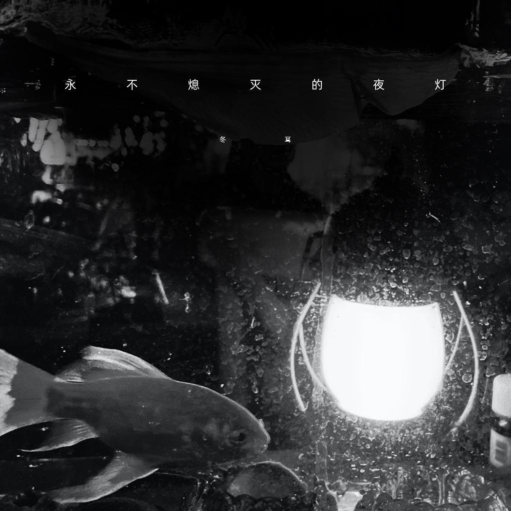 永不熄灭的夜灯封面