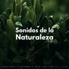 La naturaleza llama - Spa Y Serenidad