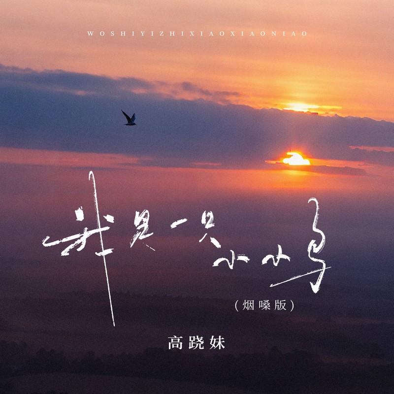 我是一只小小鸟 (烟嗓版)封面