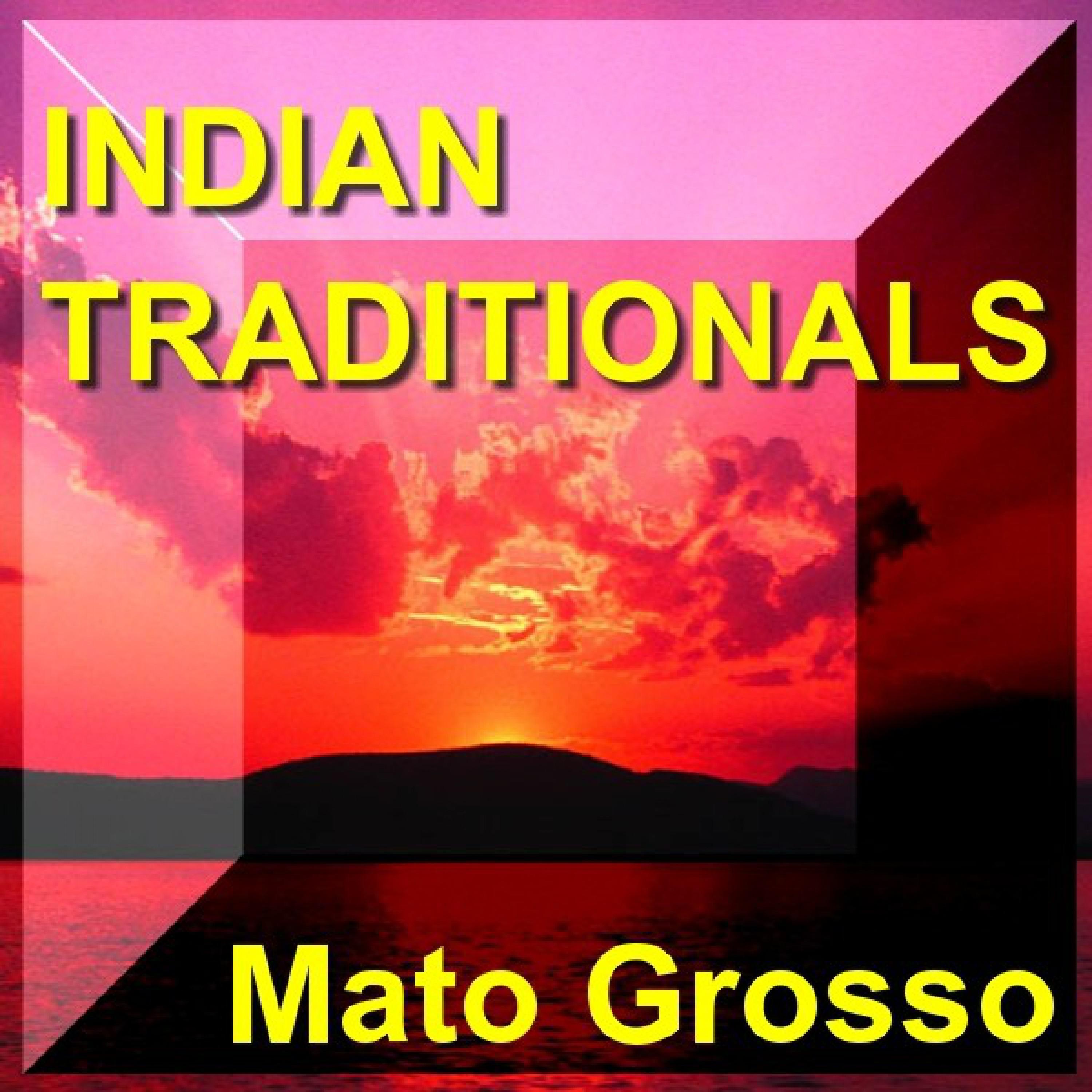 Five Spirits_Mato Grosso_Indian Traditionals - Panpipe - Panflöte - Traditionelle Indianergesänge Und Panflöte | 在线播放_Five Spirits歌词_Five Spirits下载 | 网易云音乐