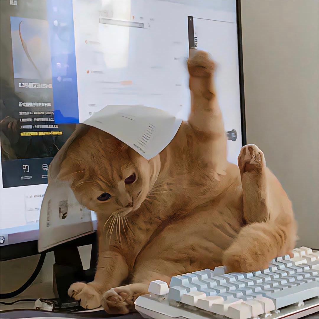 狐狸小姐封面