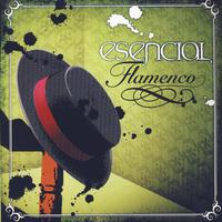 Esencial Flamenco Vol.8