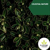 Celestial Nature