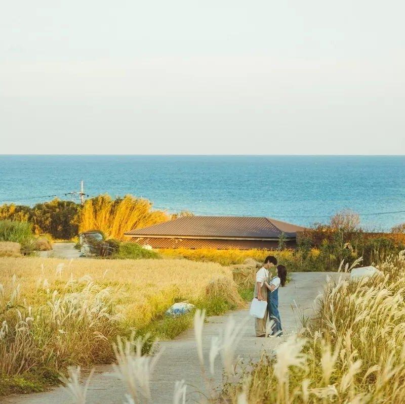 舒缓 治愈 钢琴曲BGM