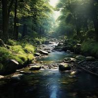 Study by the Stream: Gentle Water Ambience