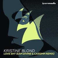 Love Shy (Sam Divine & CASSIMM Remix)