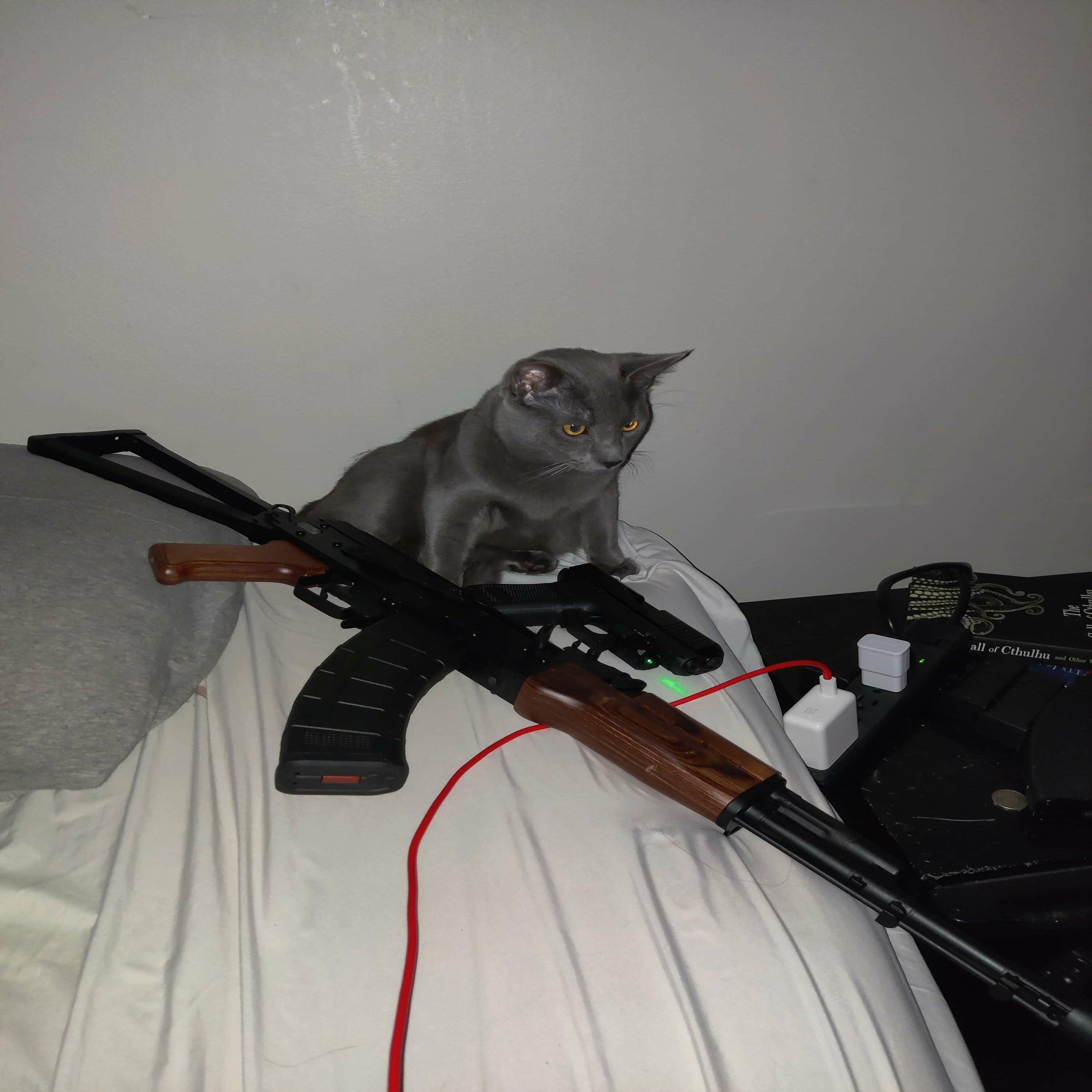 SOMBER PARTY GOT SHOT UP!