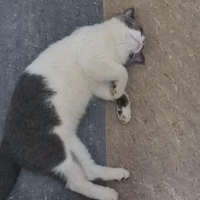 轻柔英文歌 看书睡觉专用