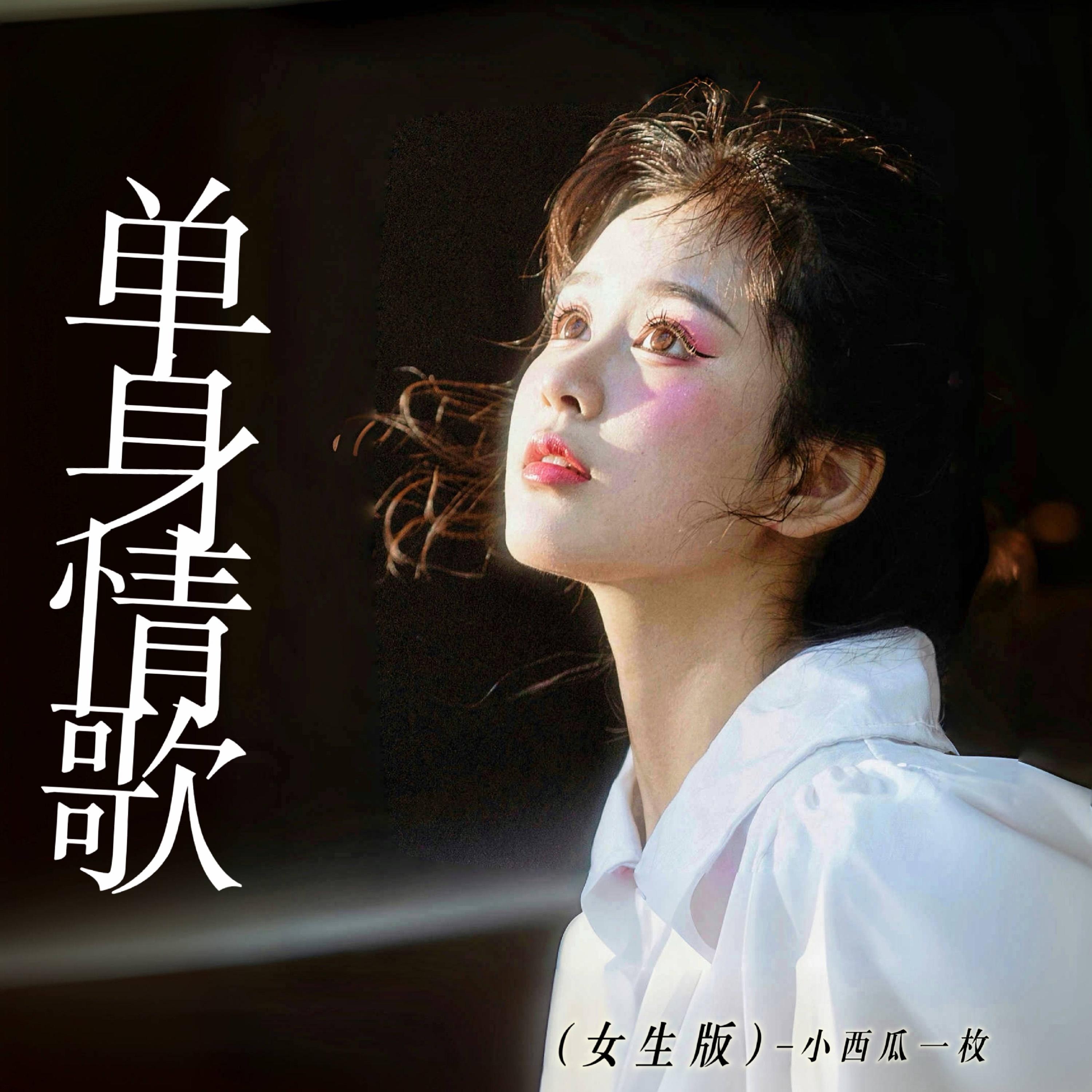 单身情歌 (女生版)封面