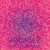 Braincase Instrumental