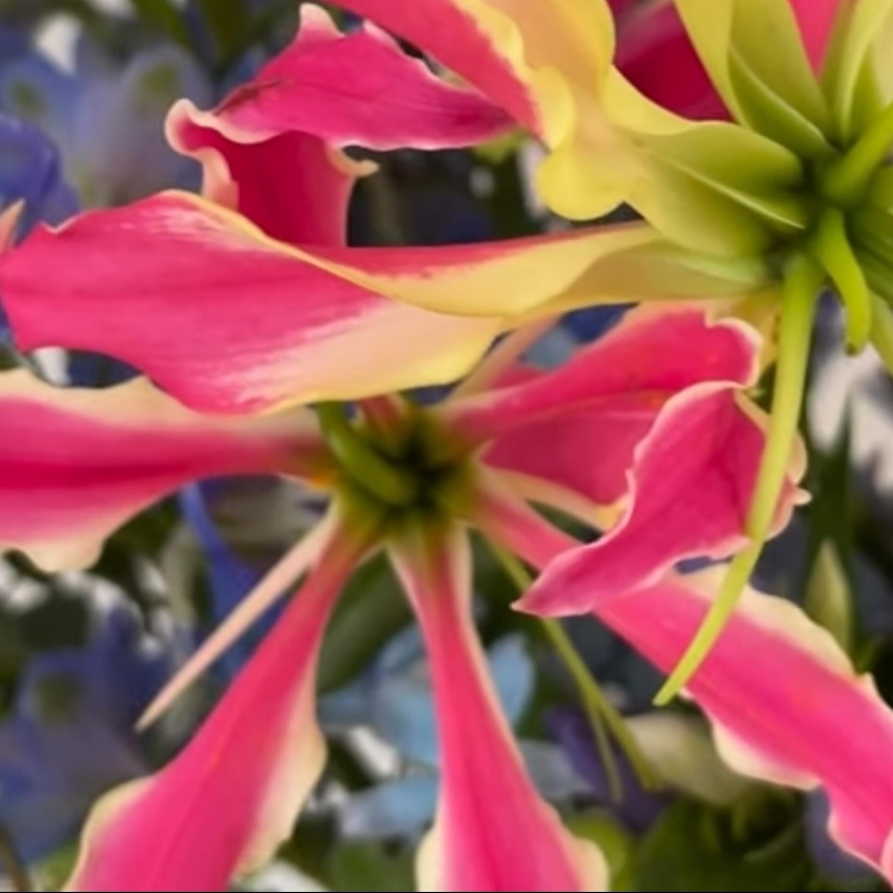 Tension (feat. Sonny Zero)