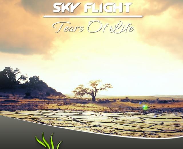 Sky Flight