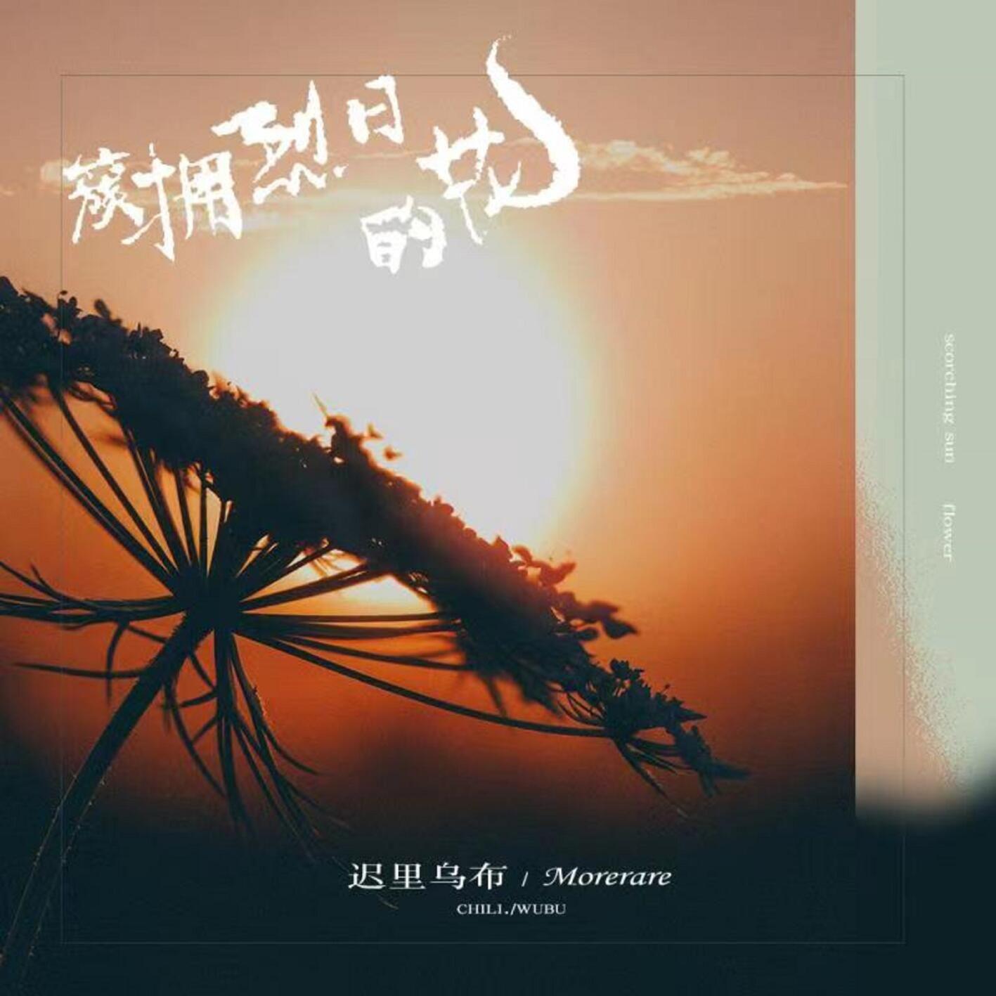 簇拥烈日的花 (DJ版)封面