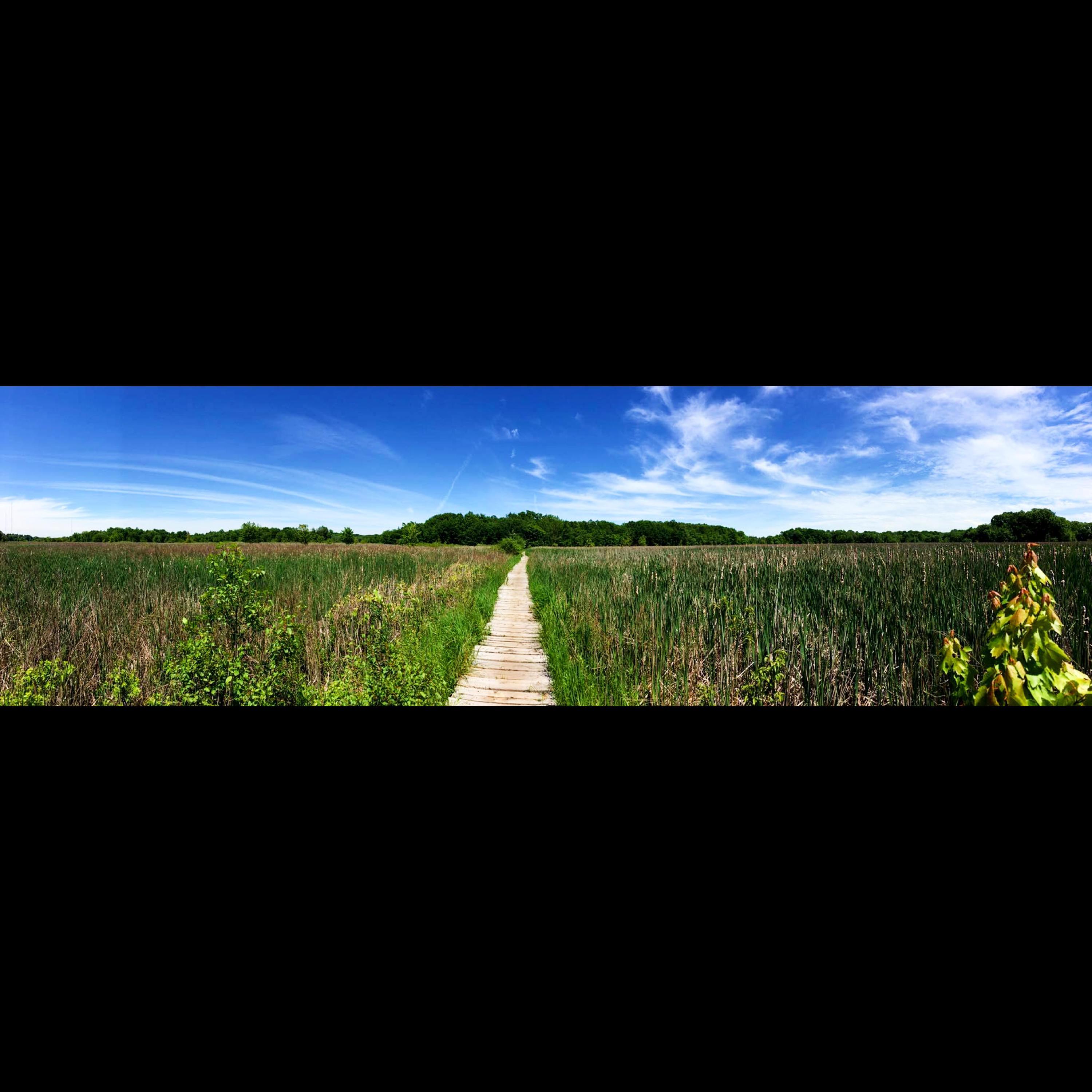 And I'll call you by mine