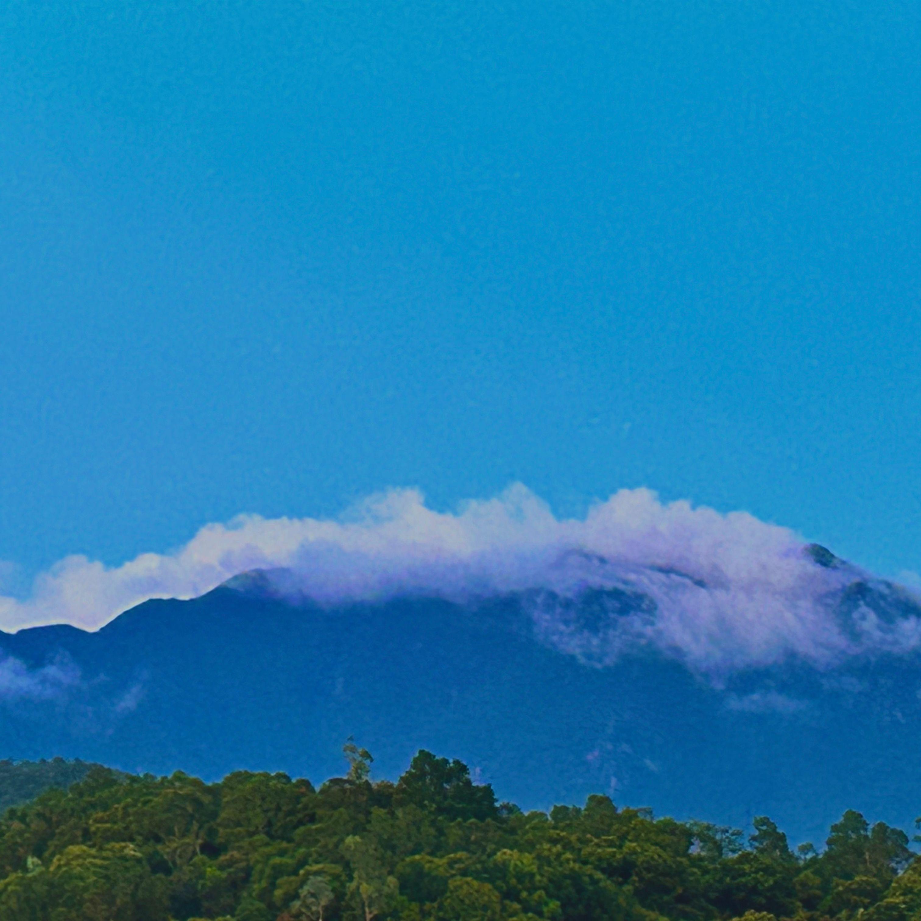 NewJeans - ASAP （MyClosest remake）