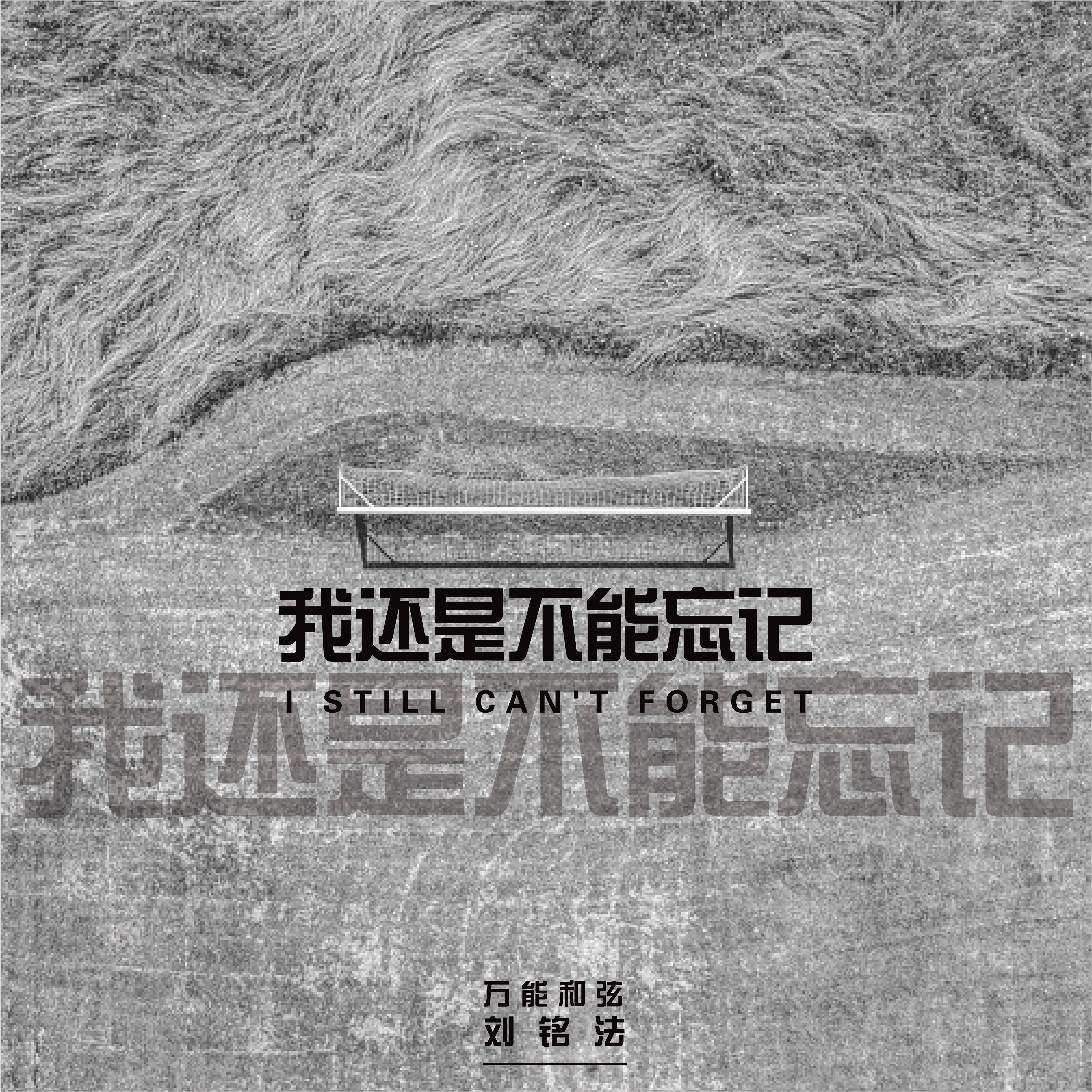 我还是不能忘记封面