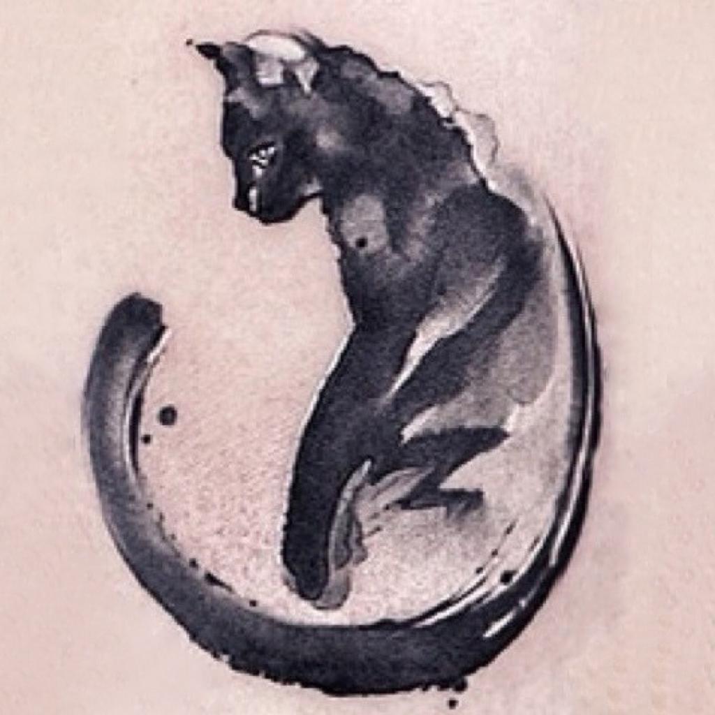 TheHailshamPluviophile