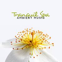 Tranquil Spa Ambient Music