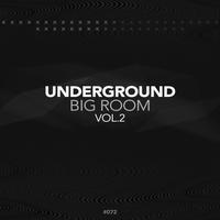 Underground Big Room, Vol. 2