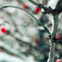 1 Hour White Noise: Relaxing Moments