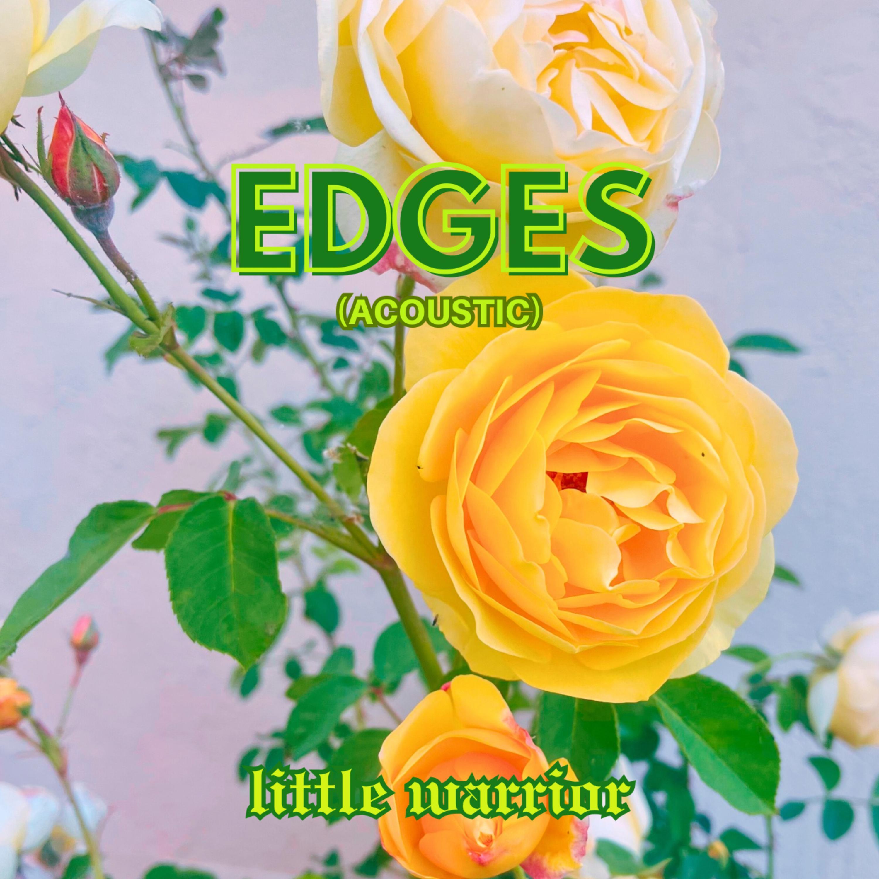 Edges (Acoustic)