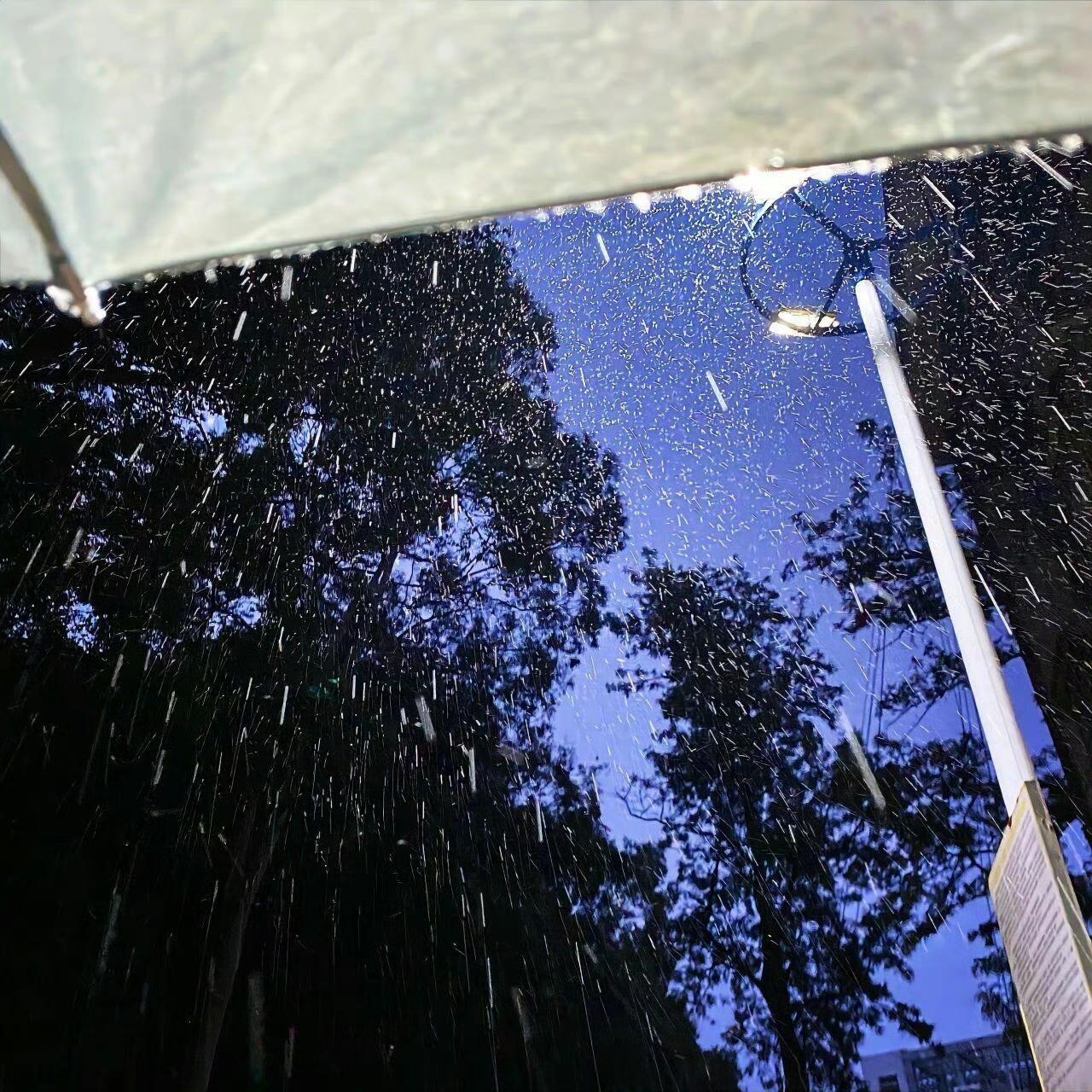 「治愈时刻」雨天，宅家，独处，阅读，听歌