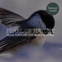 Pearl of Nature - Music for Sleep and Anger Control