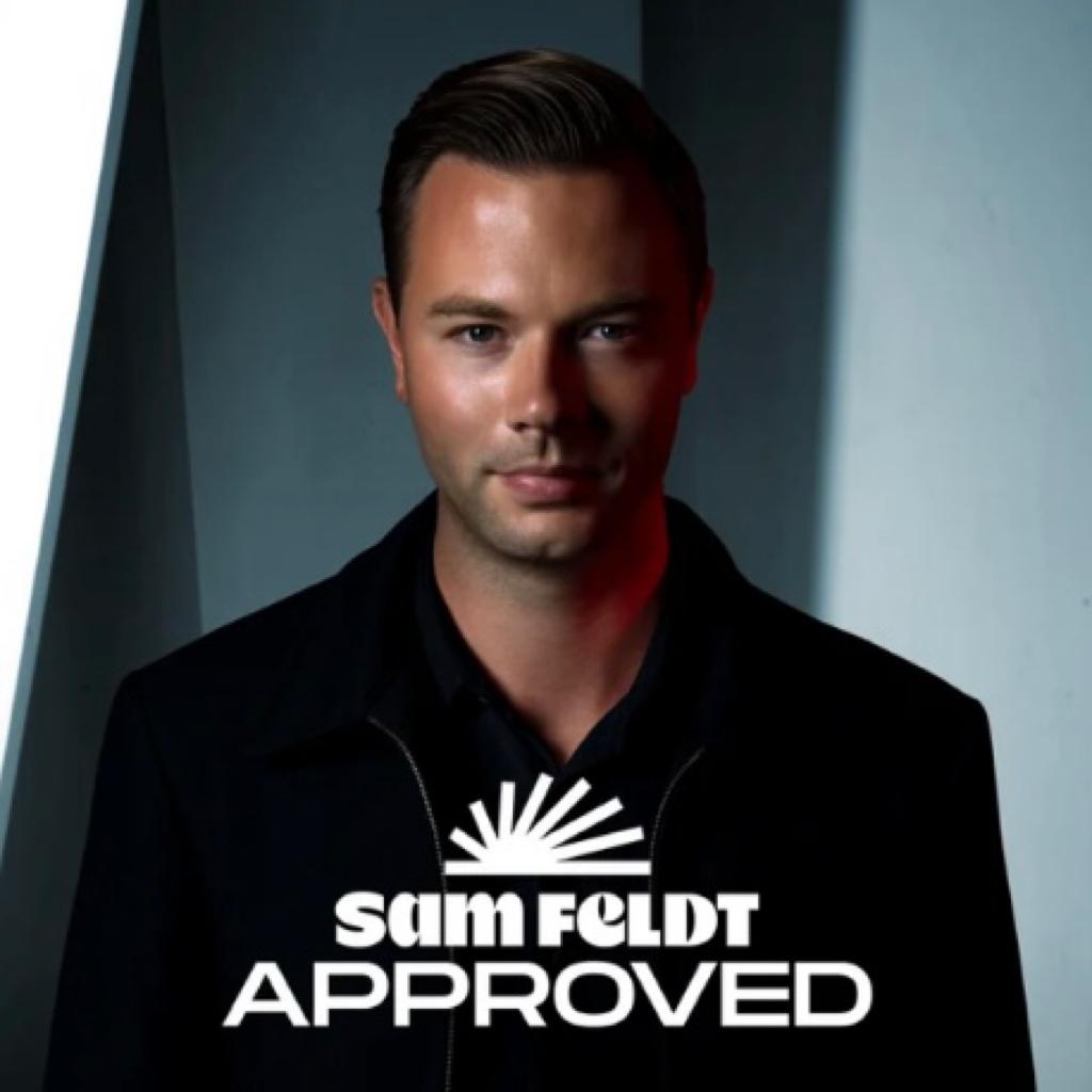 荷兰鲜肉Sam Feldt私藏歌单