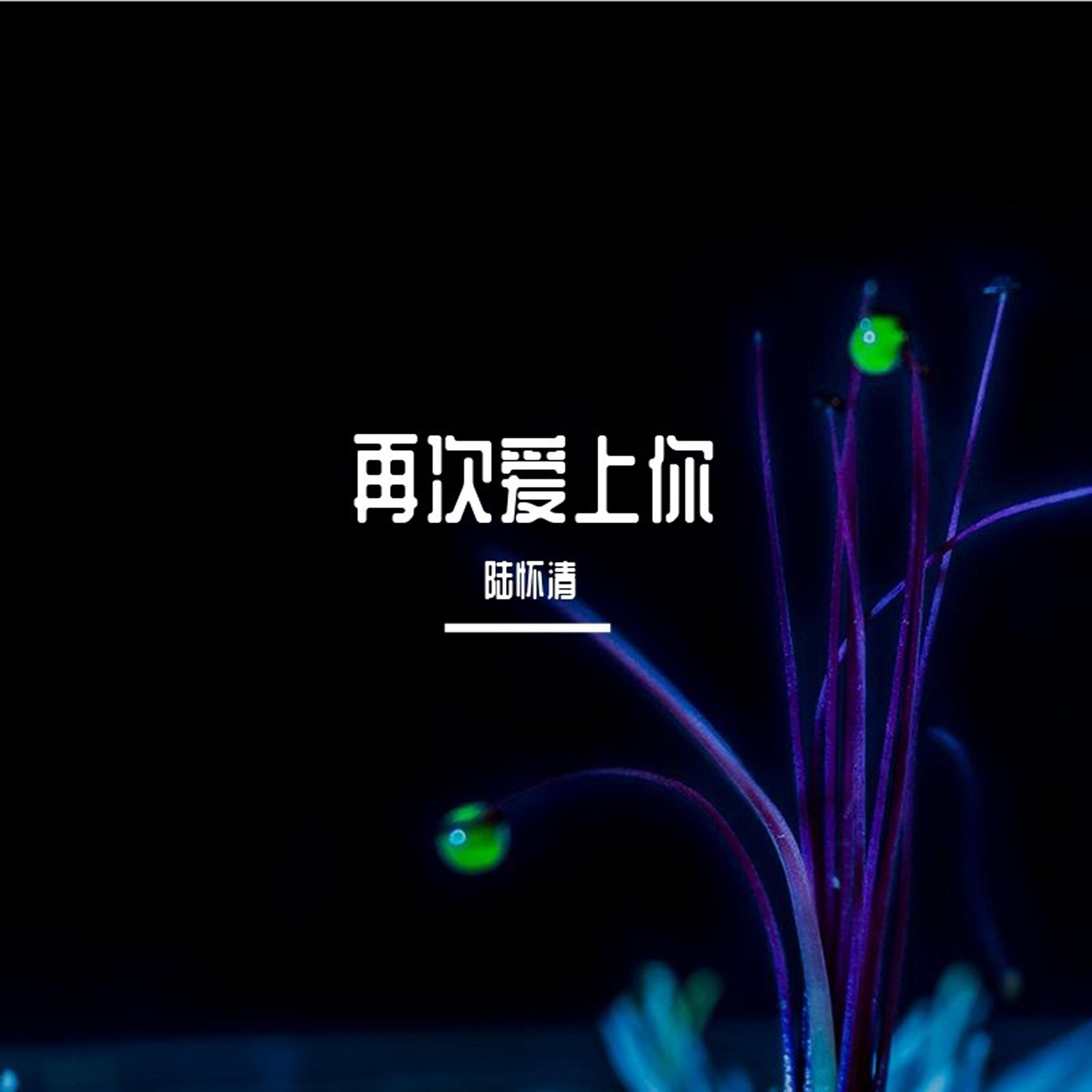 再次爱上你 (伴奏) - 陆怀清封面
