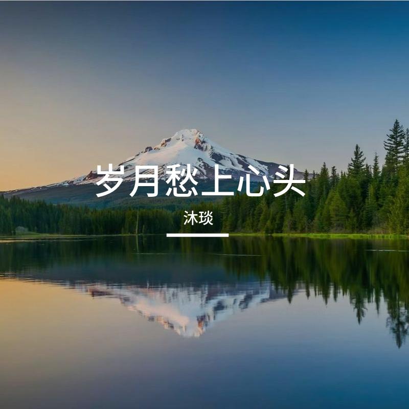 佳偶天成封面