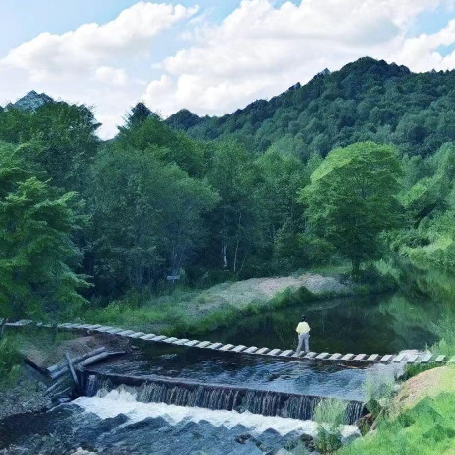 让世界暂停一分钟封面
