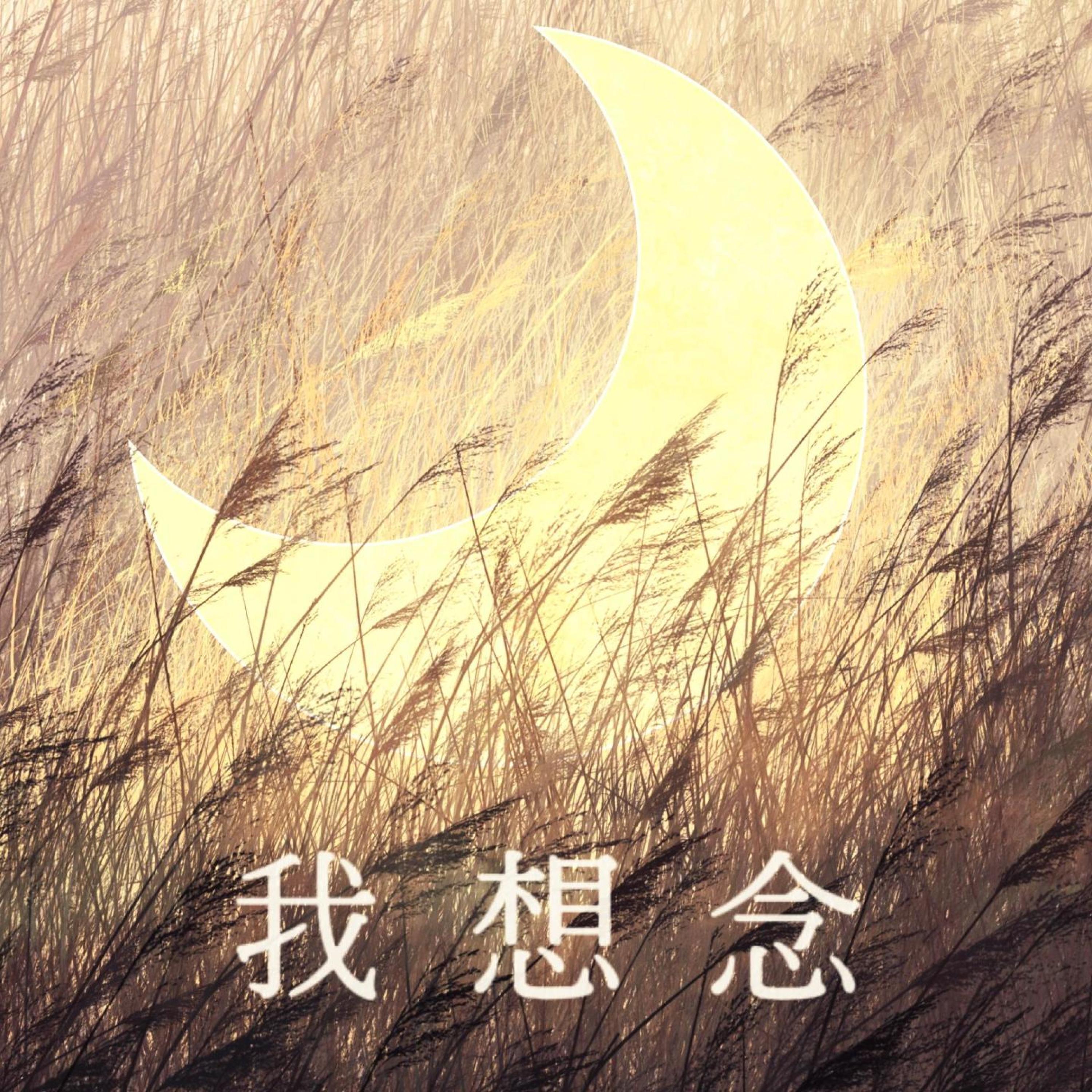 我想念封面