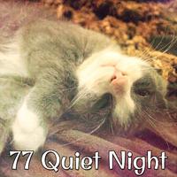 77 Quiet Night