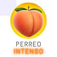 Perreo Intenso