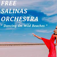 Free Salinas Orchestra资料,Free Salinas Orchestra最新歌曲,Free Salinas OrchestraMV视频,Free Salinas Orchestra音乐专辑,Free Salinas Orchestra好听的歌