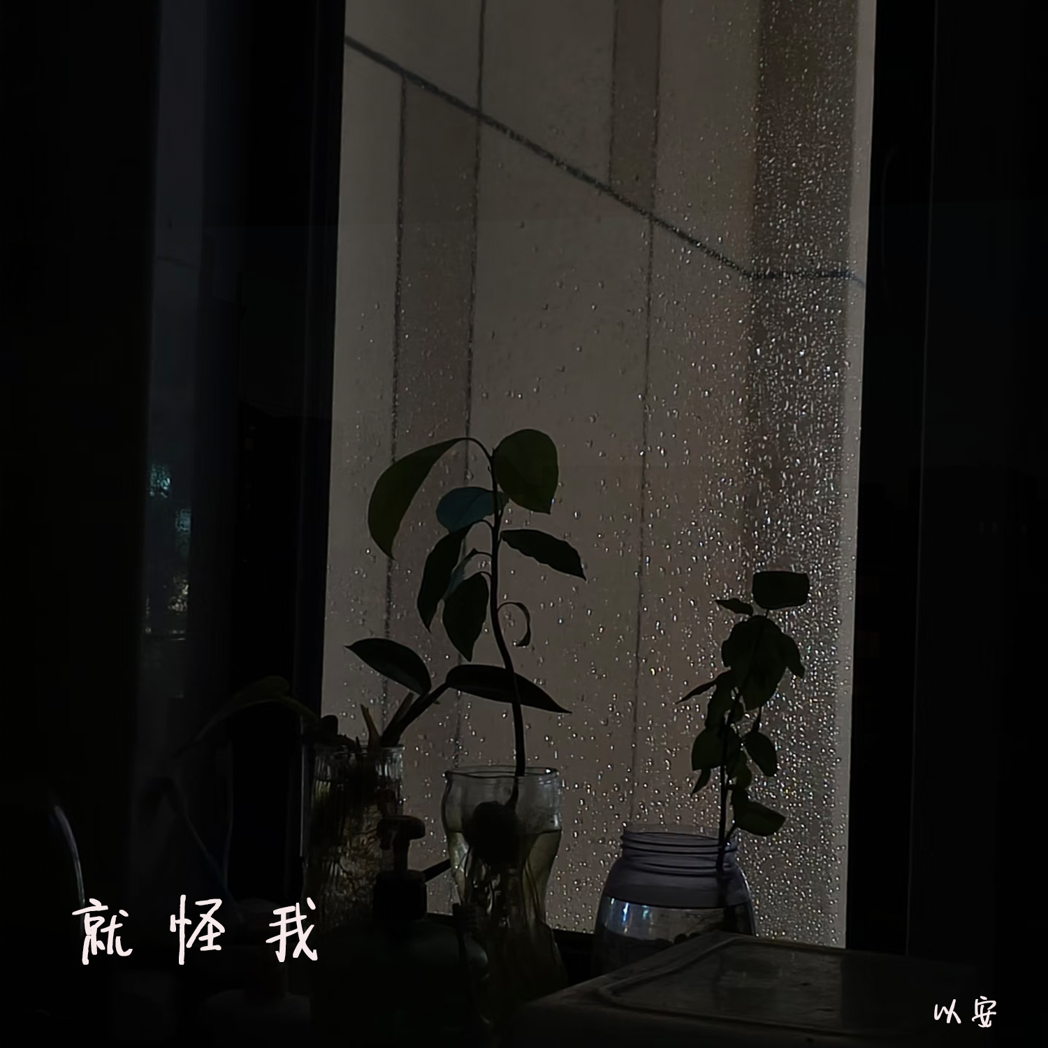 就怪我（伴奏）封面
