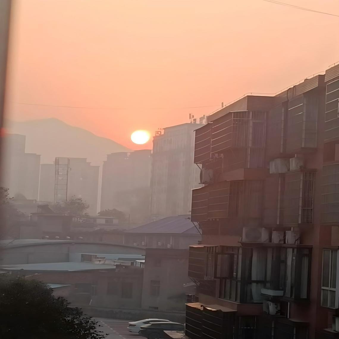 我的小鱼你醒了还记得早晨吗封面