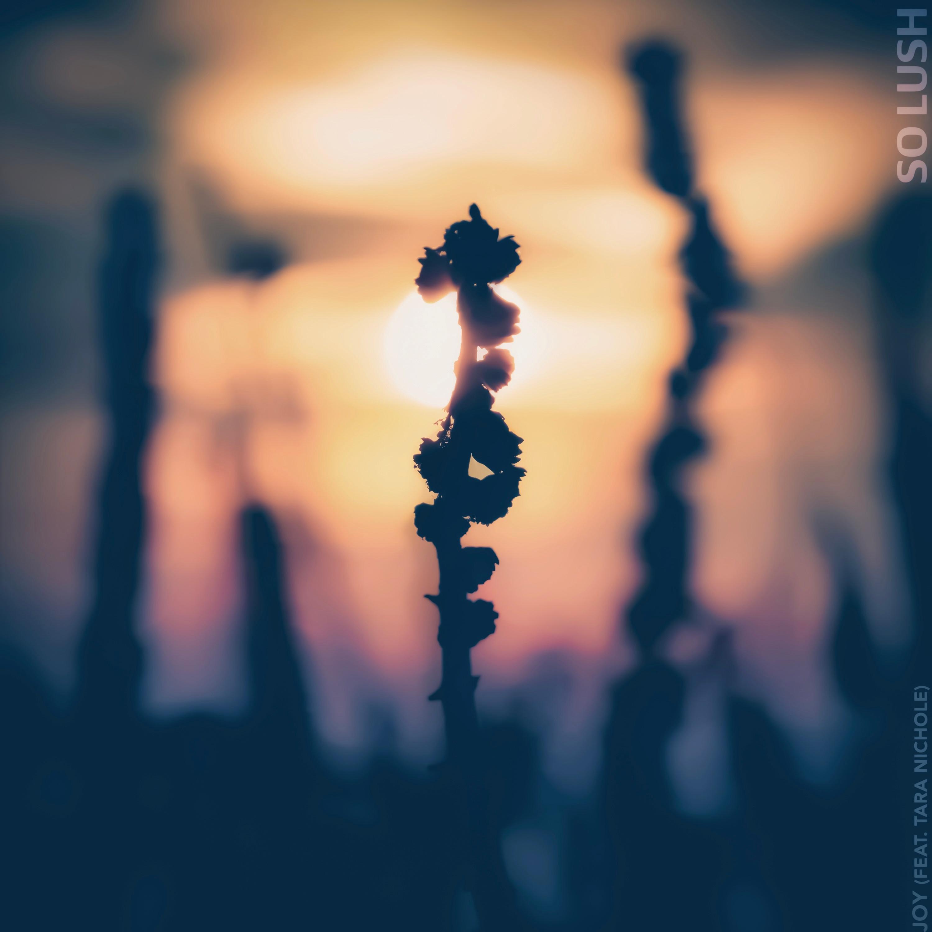 Joy (feat. Tara Nichole)