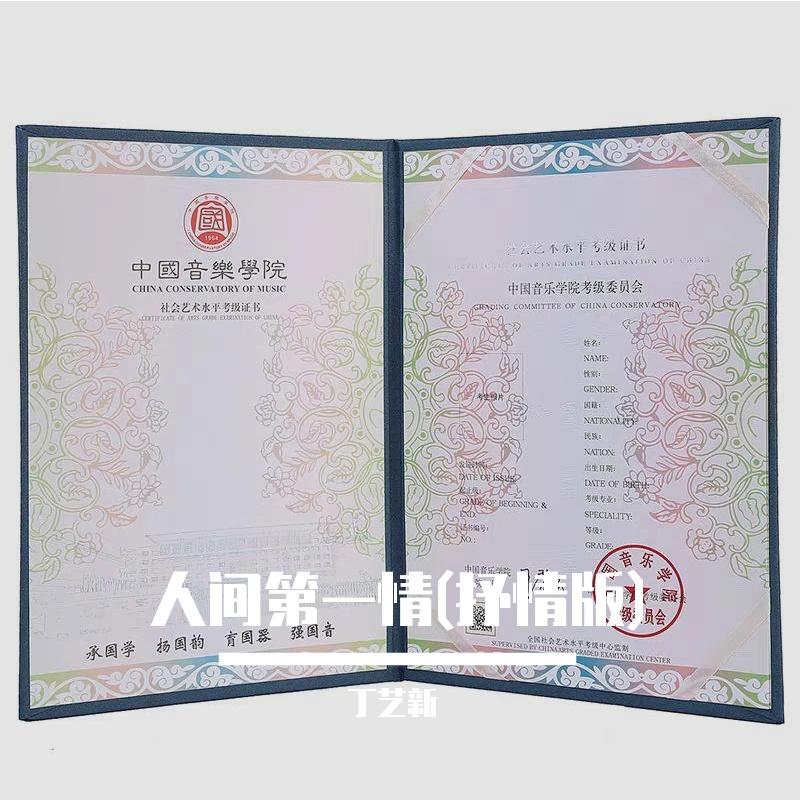 人间第一情(抒情版) - 丁艺新封面