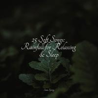 25 Soft Songs: Rainfall for Relaxing & Sleep