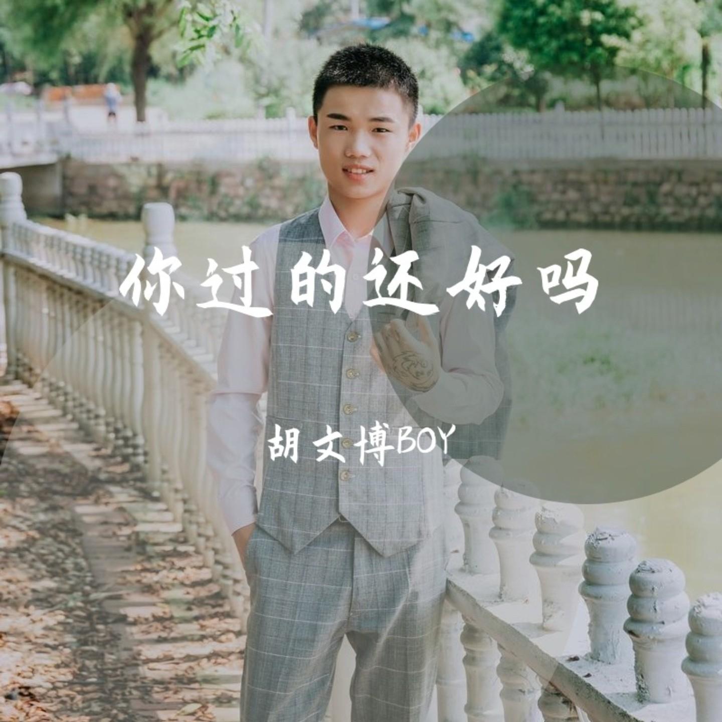 你过的还好吗封面