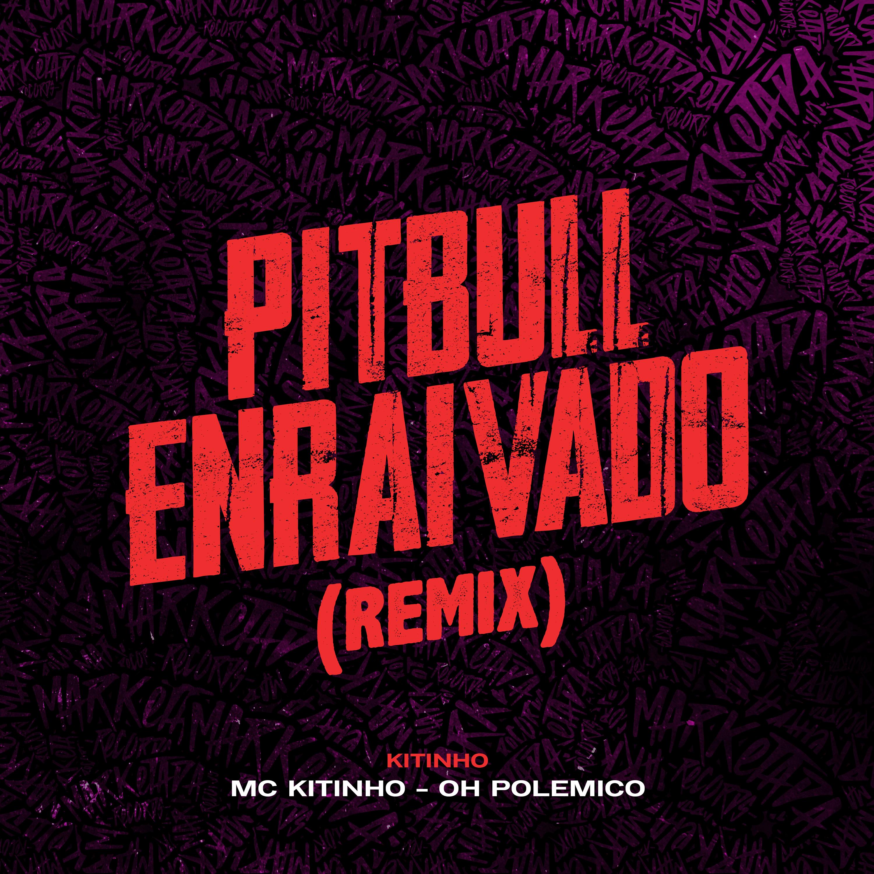 Pitbull Enraivado (Remix)