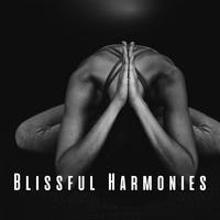 Blissful Harmonies: Chill Music for Calm Meditations