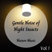 Nature Music: Gentle Noise of Night Insects - 3 Hours