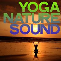 Yoga Nature Sound (Electronic Lounge & Chillout Music Relax Yoga 2020)