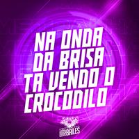 Na Onda da Brisa Tá Vendo o Crocodilo